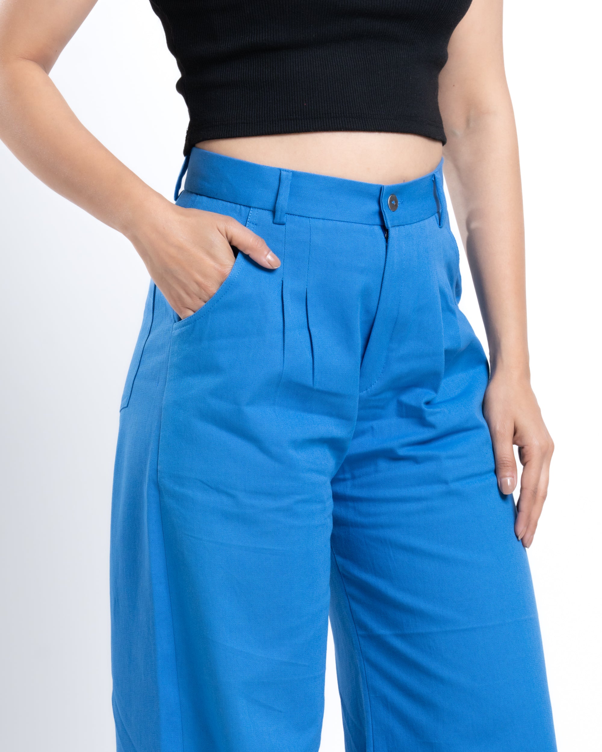 Wide-Leg Pleated Pants Pacific Blue